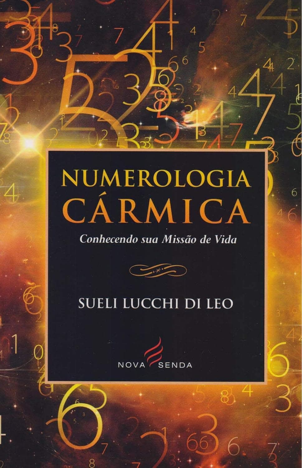 Sueli Lucchi Di Leo